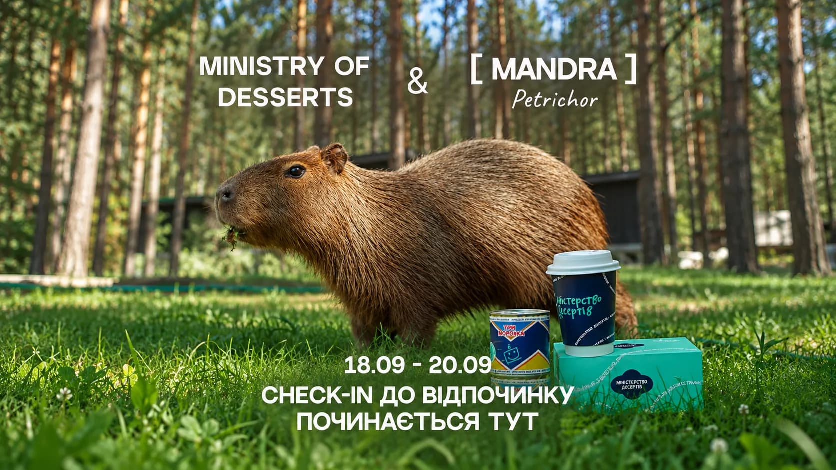 Восстановление в лесу: Десерты и Mandra Petrichor