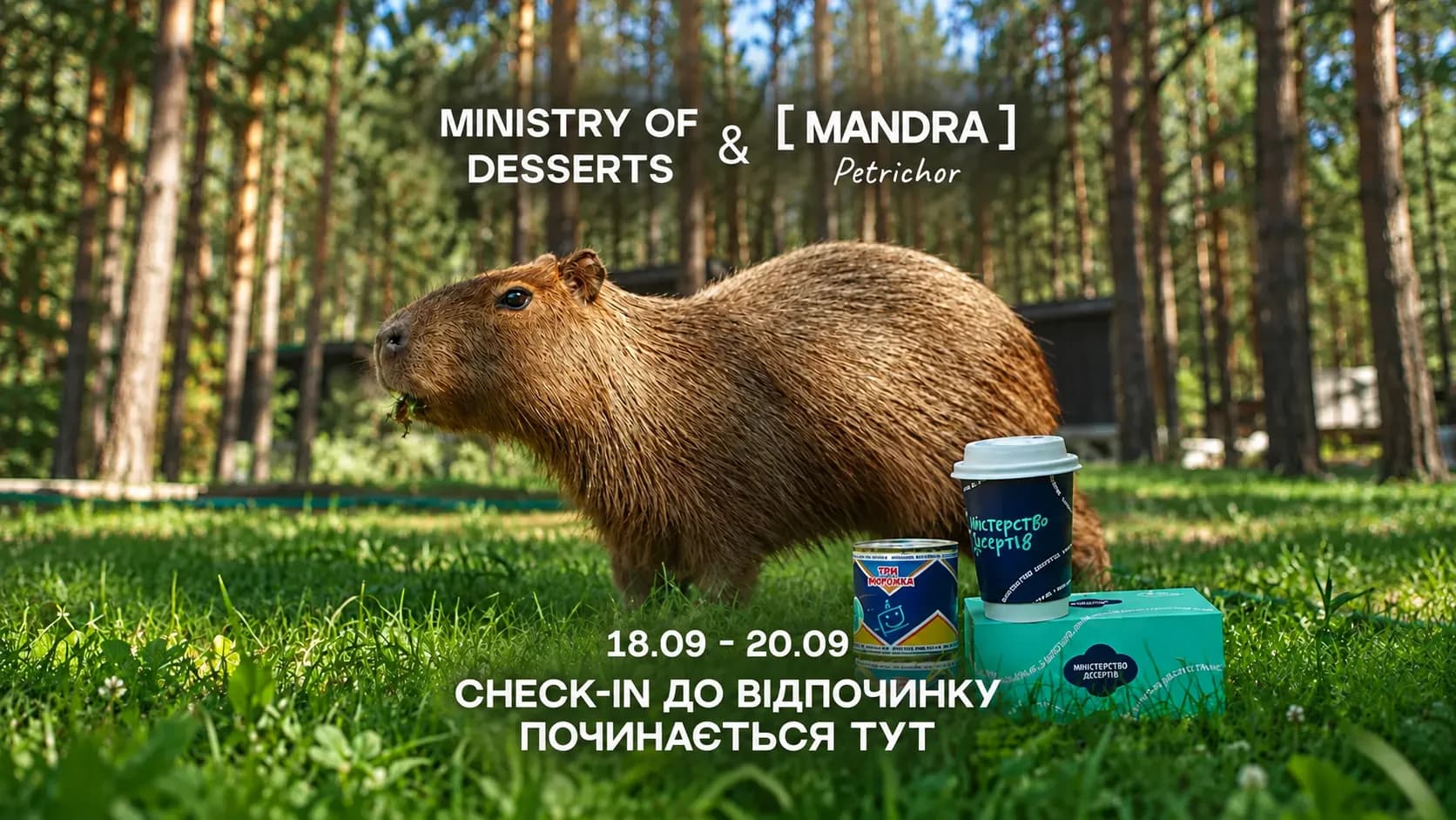 Відновлення у лісі: секрети від Міністерства Десертів та Mandra Petrichor
