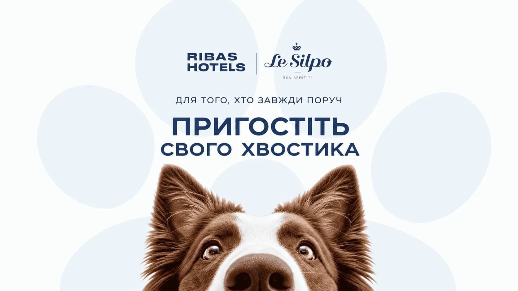 Ribas Hotels и Le Silpo создали Pet Check-in: гостиничная рецепция для хвостатых гостей появилась в Одессе